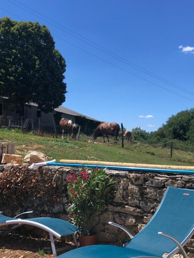La Ferme De La Truffe Chambres D Hotes Cuzance 外观 照片